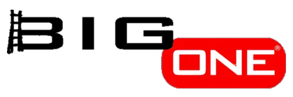 BigOne logo